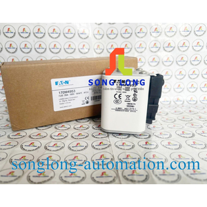 CẦU CHÌ EATON 170M4953