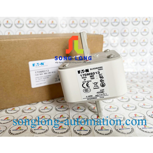 CẦU CHÌ EATON 170M6013