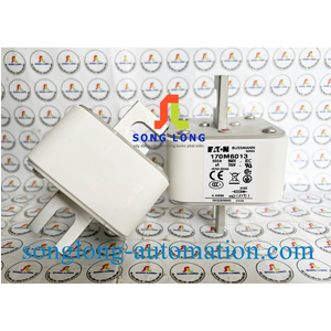 CẦU CHÌ EATON 170M6013
