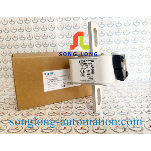 CẦU CHÌ EATON 170M6759