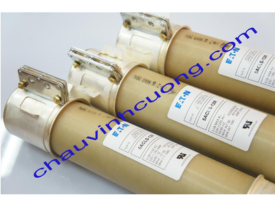 Cầu chì Eaton 5ACLS-12R