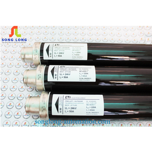 CẦU CHÌ TRUNG THẾ 24KV 50A ETI 004255012