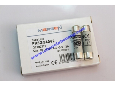 CẦU CHÌ FERRAZ SHAWMUT FR8GG40V2