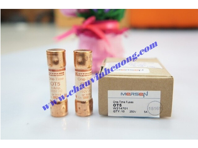 CẦU CHÌ FERRAZ SHAWMUT OT5