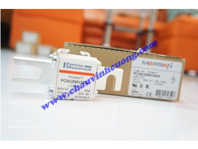 CẦU CHÌ FERRAZ SHAWMUT PC30UD69V250A