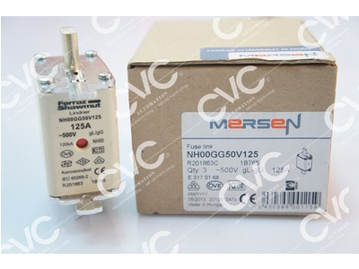 Cầu chì 500V 125A Ferraz Shawmut NH00GG50V125