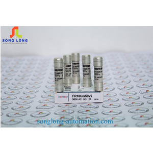 CẦU CHÌ 10X38 FERRAZ SHAWMUT FR10GG50V2