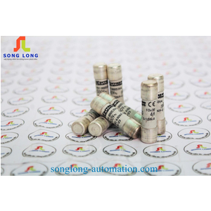 CẦU CHÌ 10X38 FERRAZ SHAWMUT FR10GG50V4