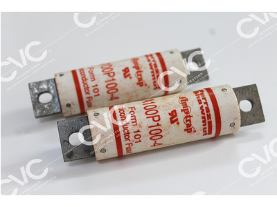 CẦU CHÌ FERRAZ SHAWMUT A100P100-4