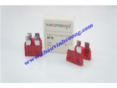 CẦU CHÌ FERRAZ SHAWMUT AF-10