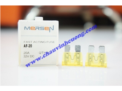 CẦU CHÌ FERRAZ SHAWMUT AF-20