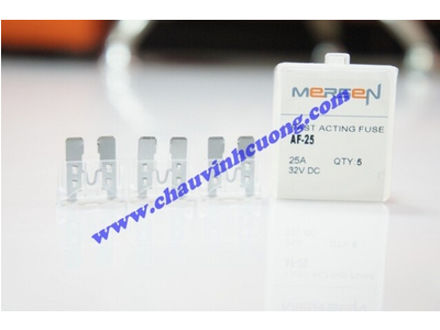 CẦU CHÌ FERRAZ SHAWMUT AF-25