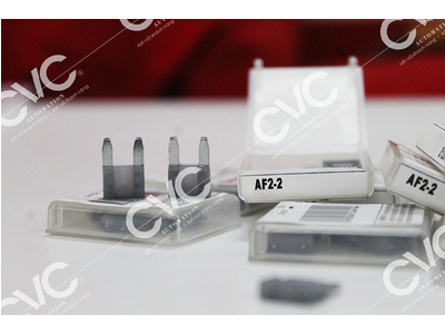 CẦU CHÌ FERRAZ SHAWMUT AF2-2