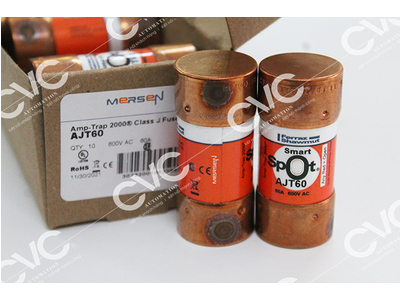 CẦU CHÌ FERRAZ SHAWMUT AJT60