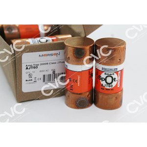 CẦU CHÌ FERRAZ SHAWMUT AJT60