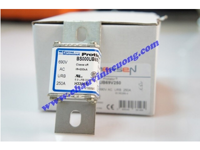 CẦU CHÌ FERRAZ SHAWMUT BS000UB69V250