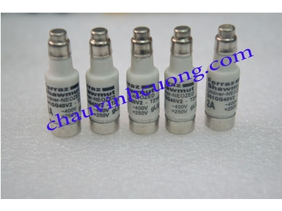 CẦU CHÌ FERRAZ SHAWMUT D01GG40V2