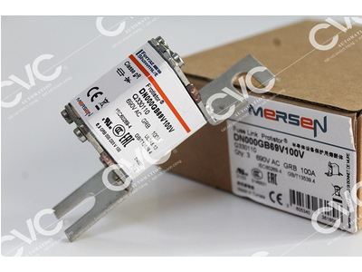 CẦU CHÌ FERRAZ SHAWMUT DN000GB69V100V