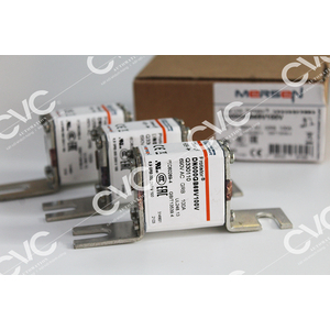 CẦU CHÌ FERRAZ SHAWMUT DN000GB69V100V