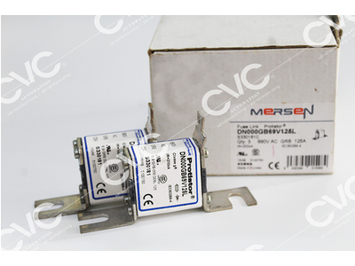 CẦU CHÌ FERRAZ SHAWMUT DN000GB69V125L