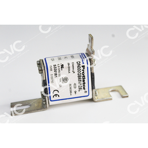 CẦU CHÌ FERRAZ SHAWMUT DN000GB69V125L