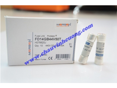 CẦU CHÌ FERRAZ SHAWMUT FD14GB44V50T