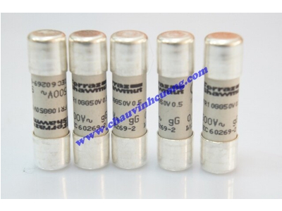 CẦU CHÌ 10x38 FERRAZ SHAWMUT FR10GG50V0.5