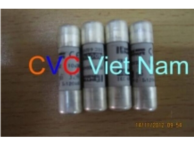 CẦU CHÌ 10x38 FERRAZ SHAWMUT FR10GG50V10