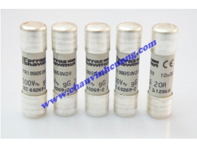 CẦU CHÌ 10x38 FERRAZ SHAWMUT FR10GG50V20