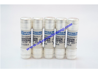 Cầu chì Ferraz Shawmut FR10GR69V1,25