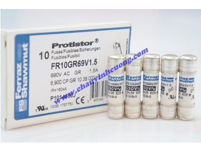 CẦU CHÌ 10x38 FERRAZ SHAWMUT FR10GR69V1,5