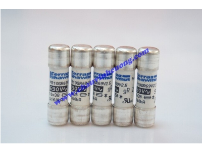 CẦU CHÌ 10x38 FERRAZ SHAWMUT FR10GR69V2,5