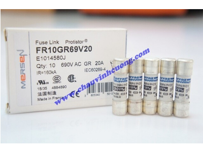 CẦU CHÌ 10x38 FERRAZ SHAWMUT FR10GR69V20