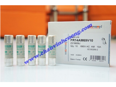 Cầu chì Ferraz Shawmut FR14AM69V10