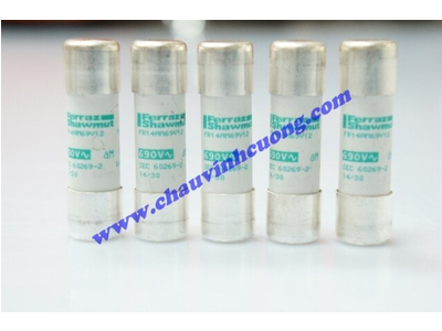 Cầu chì Ferraz Shawmut FR14AM69V12