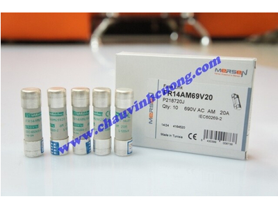 CẦU CHÌ 14x51 FERRAZ SHAWMUT FR14AM69V20