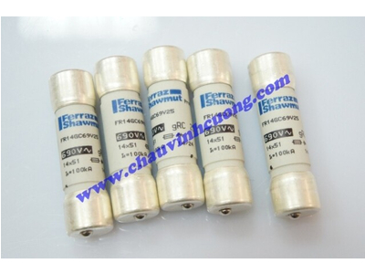 CẦU CHÌ 14x51 FERRAZ SHAWMUT FR14GC69V25