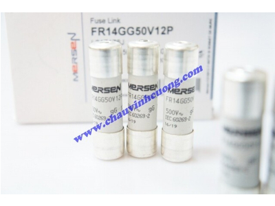 CẦU CHÌ 14x51 FERRAZ SHAWMUT FR14GG50V12P