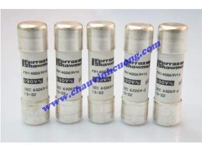 CẦU CHÌ 14x51 FERRAZ SHAWMUT FR14GG69V16