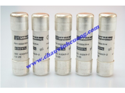 CẦU CHÌ 14x51 FERRAZ SHAWMUT FR14GG69V4