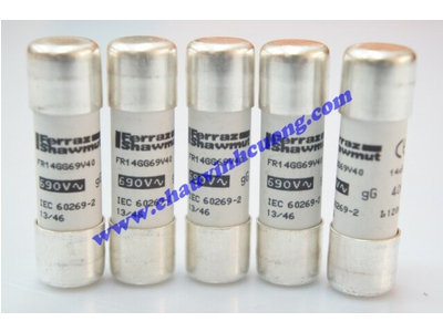 CẦU CHÌ 14x51 FERRAZ SHAWMUT FR14GG69V40