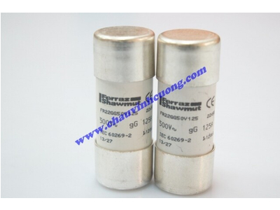 Cầu chì Ferraz Shawmut FR22GG50V125