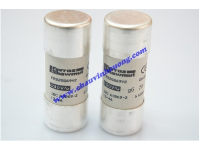 CẦU CHÌ 22x58 FERRAZ SHAWMUT FR22GG69V2