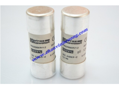 CẦU CHÌ 22x58 FERRAZ SHAWMUT FR22GG69V12