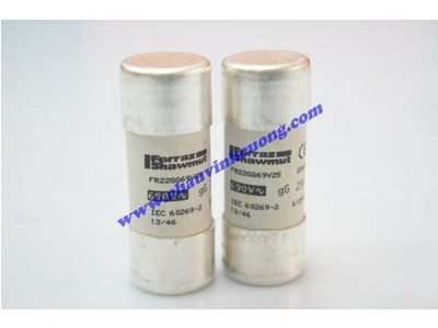 CẦU CHÌ 22x58 FERRAZ SHAWMUT FR22GG69V25