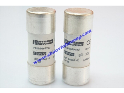 CẦU CHÌ 22x58 FERRAZ SHAWMUT FR22GG69V32