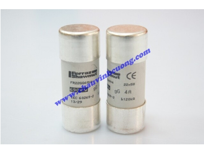 CẦU CHÌ 22x58 FERRAZ SHAWMUT FR22GG69V4