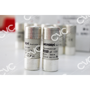 CẦU CHÌ FERRAZ SHAWMUT FR22GR69V135T
