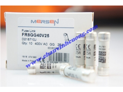 CẦU CHÌ FERRAZ SHAWMUT FR8GG40V25