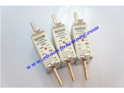 CẦU CHÌ FERRAZ SHAWMUT NH1GG50V125